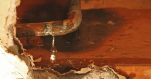 learning how to identify hidden water leaks